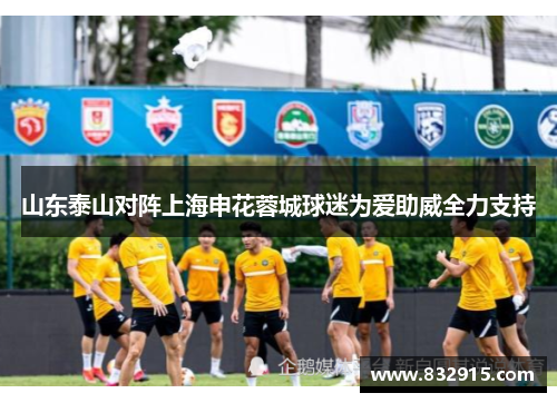 山东泰山对阵上海申花蓉城球迷为爱助威全力支持
